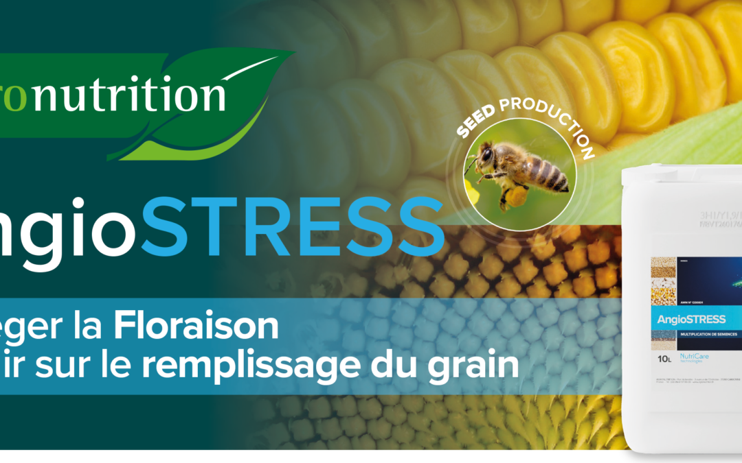 Floraison & Remplissage des grains